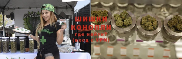 PSILOCYBIN Балахна