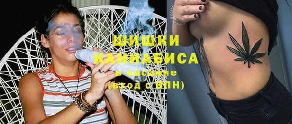 PSILOCYBIN Балахна