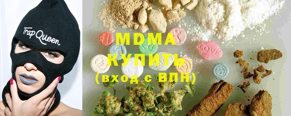 индика Няндома