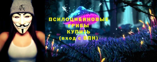 ECSTASY Баксан